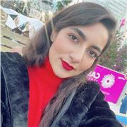 Enjoy English Mastery: Dynamic Teaching Program for You!